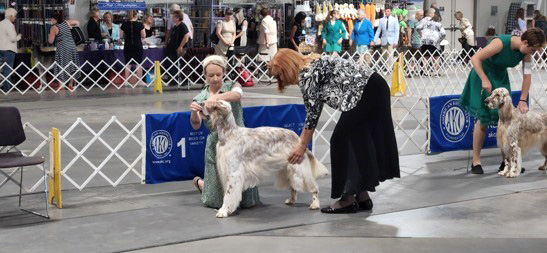 2022 Annual Show